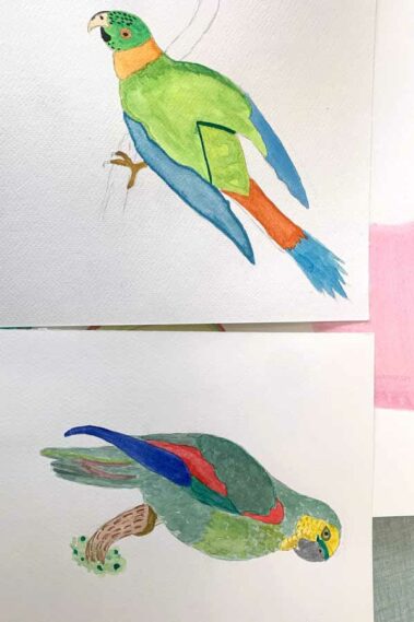 aquarelle stage adulte